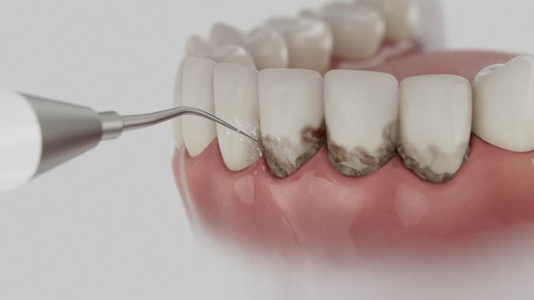 Reliable Dental contractor in Wolf Lake, MI by Dentist Open Now